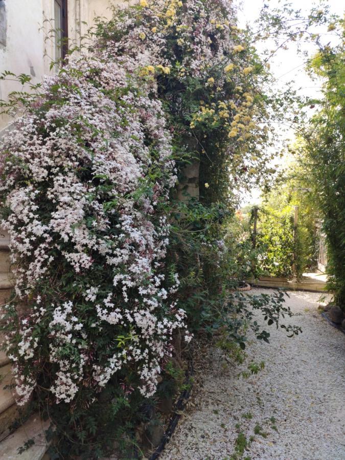 Maison D'Hotes Coeur D'Herault - Gite Et Chambres D'Hotes - Spa & Massages Péret Екстериор снимка
